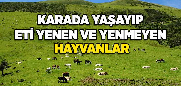 Karada Yaşayıp Eti Yenen ve Yenmeyen Hayvanlar