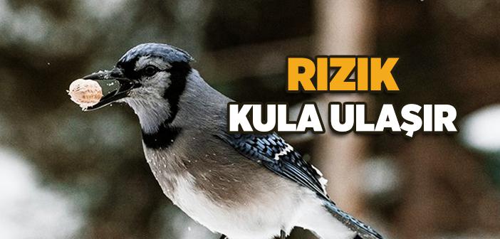 Rızık Kula Ulaşır