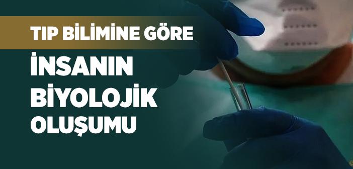 Tıp Bilimine Göre İnsanın Biyolojik Oluşumu