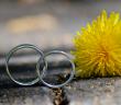 Mehir Hakkı Nedir?