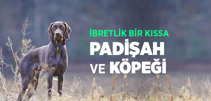 İbretlik Kıssa 'Padişah ve Köpeği'