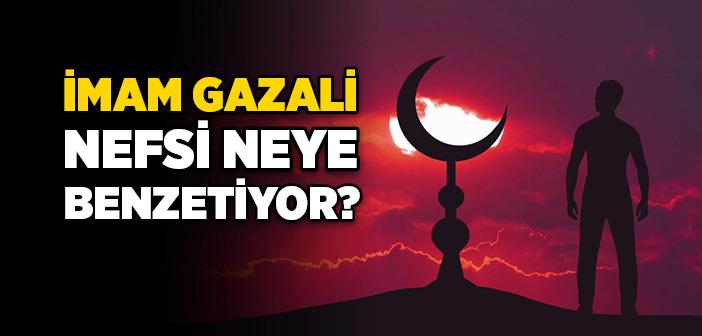 İmam Gazali Nefsi Neye Benzetiyor?