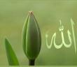Allah’ın Zati Sıfatları Kaç Tanedir ve Nelerdir? Maddeler Halinde Anlamları