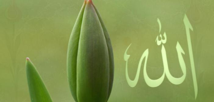 Allah’ın Zati Sıfatları Kaç Tanedir ve Nelerdir? Maddeler Halinde Anlamları
