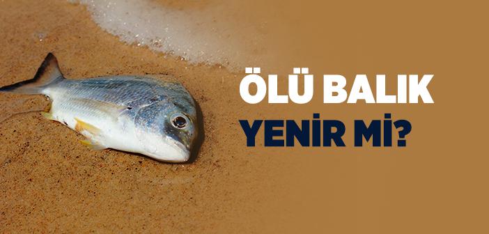 Ölü Balık Yenir mi?