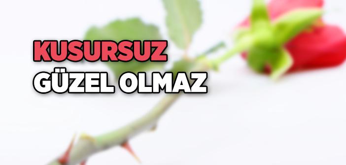 “Bir Kimse Karısına Kin Beslemesin” Hadisi