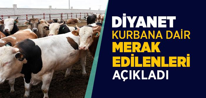 Diyanet Kurbana Dair Merak Edilenleri Açıkladı