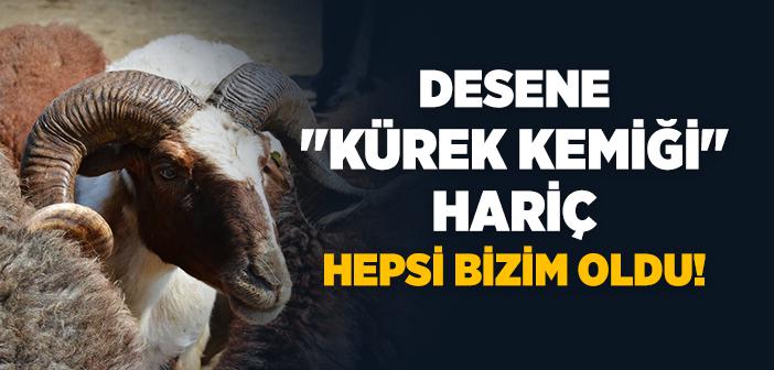 “Kürek Kemiği Hariç Hepsi Bizim Oldu” Hadisi