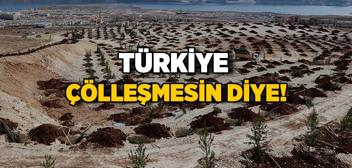 Türkiye’de Çölleşme ve Kuraklıkla Mücadele