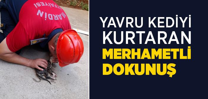 Yavru Kediyi Kurtaran Merhametli Dokunuş