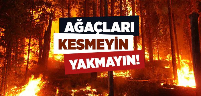 Ağaç Kesmeyin, Yakmayın!