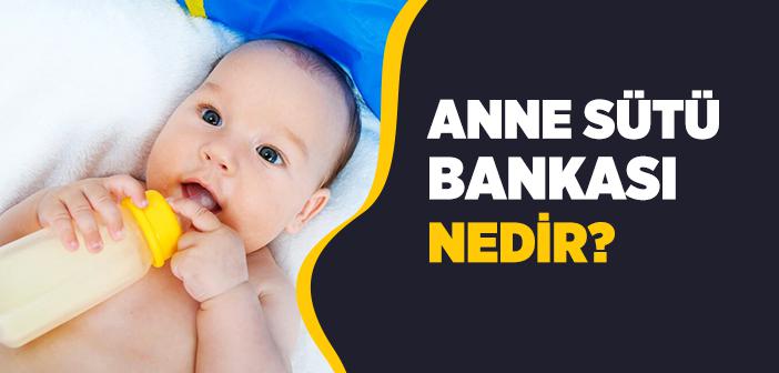 Anne Sütü Bankası Nedir?