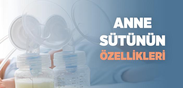 Anne Sütünün Özellikleri