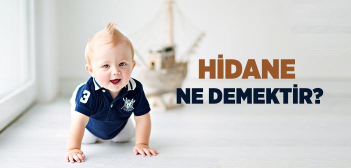 Hidane Nedir?