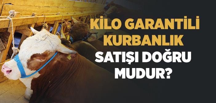 Kilo Garantili Kurbanlık Satışı Doğru mudur?