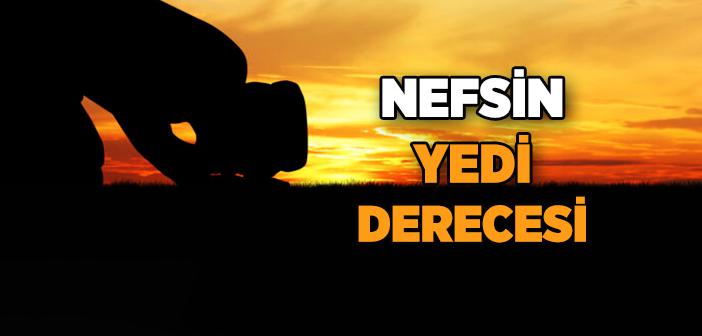 Nefsin Dereceleri