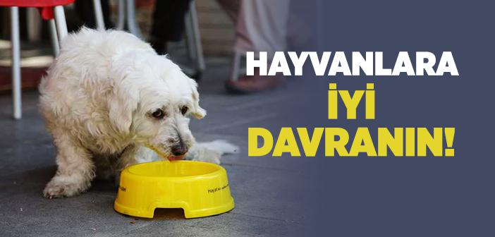 "Hayvanlara İyi Davranın" Hadisi