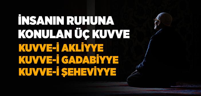 Ruhun Kuvveleri