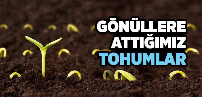 Gönüllere Attığımız Tohumlar