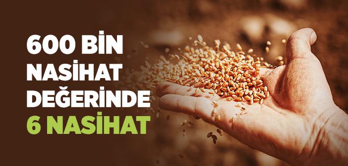 Peygamberimizin 600 Bin Nasihat Değerinde 6 Nasihati