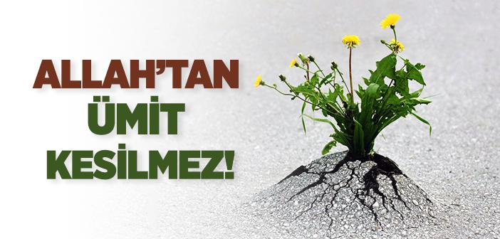 “Allah’ın Rahmetinden Ümit Kesmeyin” Ayeti