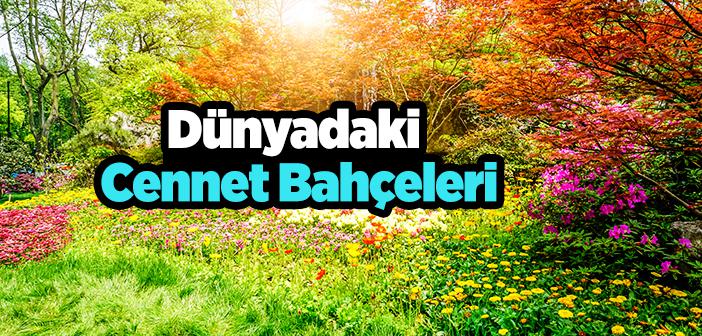 Dünyadaki Cennet Bahçeleri