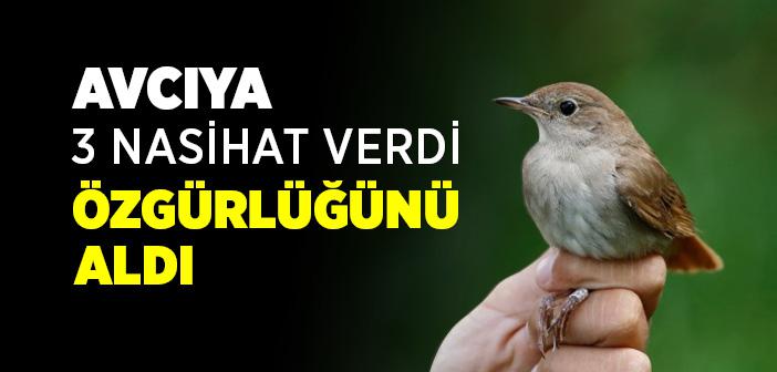 Kuşun Avcıya 3 Öğüdü