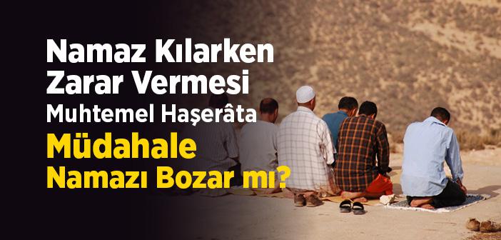 Namaz Kılarken Zarar Vermesi Muhtemel Haşerâta Müdahale Namazı Bozar mı?