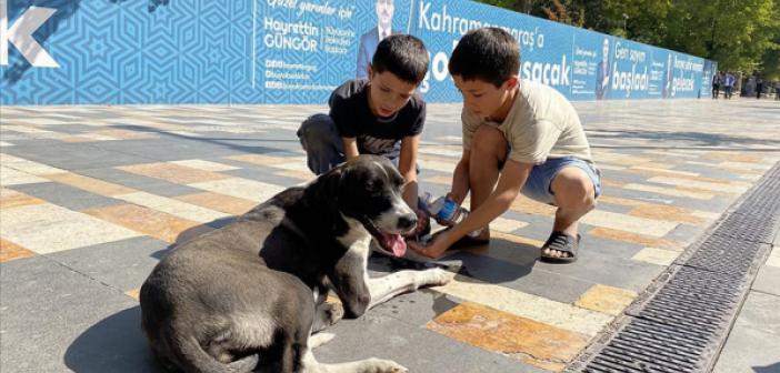 Çocuklardan Köpeğe Rahmet Eli