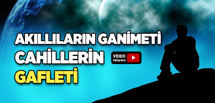 Dünya Akıllıların Ganimeti Cahillerin Gafletidir