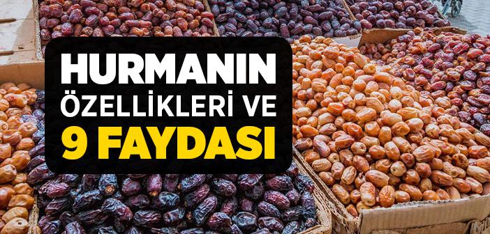 Hurmanın Özellikleri ve Faydaları