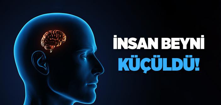 İnsan Beyni 3 Bin Yıl Öncesine Göre Küçüldü