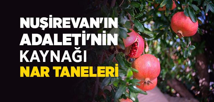 Nuşirevan'nın Adaleti'nin Kaynağı Nar Taneleri