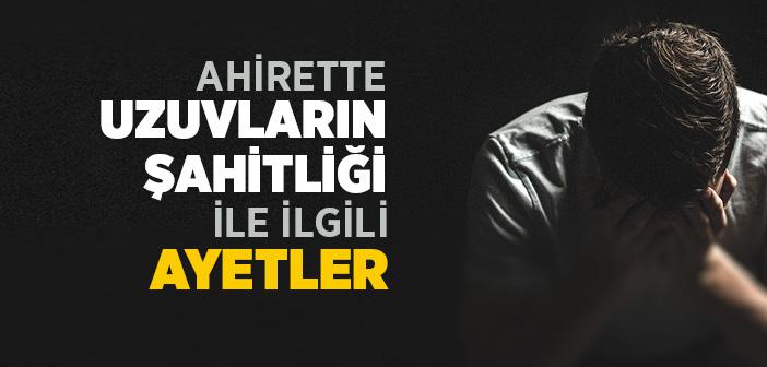 Ahirette Uzuvların Şahitliği İle İlgili Ayetler