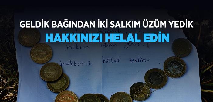 Bağından İzinsiz Yenen Üzüm İçin Bırakılan Not Çiftçiyi Duygulandırdı