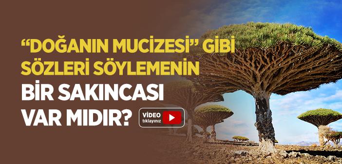 “Doğanın Mucizesi” Gibi Sözleri Söylemenin Bir Sakıncası Var mıdır?