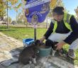 Kedi ve Köpeklerin Yoğun Olduğu Yerlere Su ve Mama Bırakıyorlar