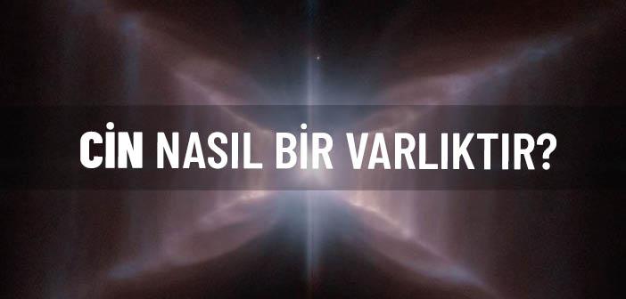 Cin Nedir?