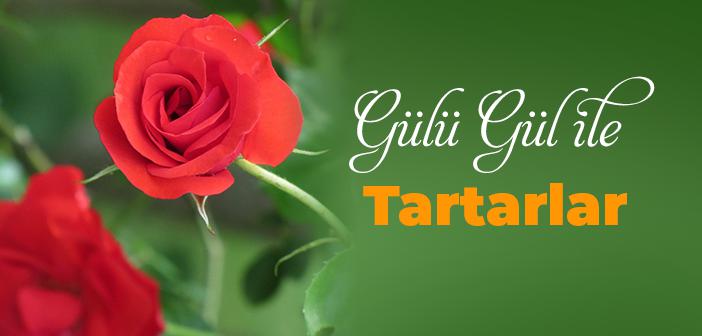 Gülü Gül ile Tartarlar