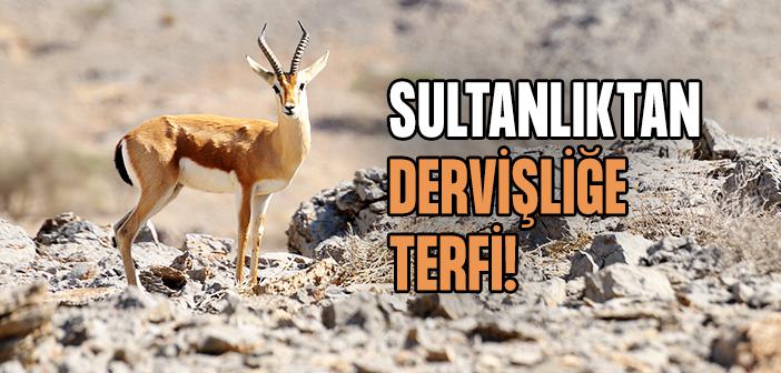 İbrahim Bin Ethem’e (k.s.) Sultanlığı Bıraktıran Hadise