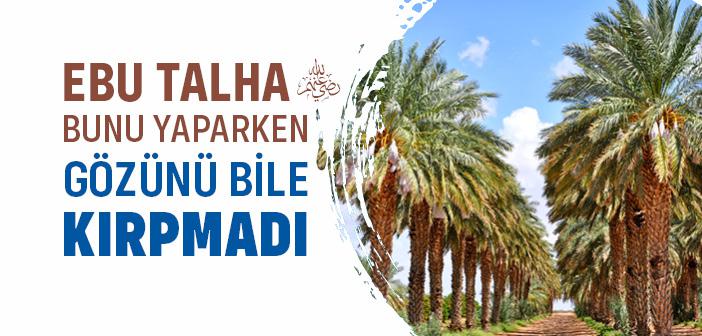 Sahabi Ebu Talha'nın İnfak Sevgisi