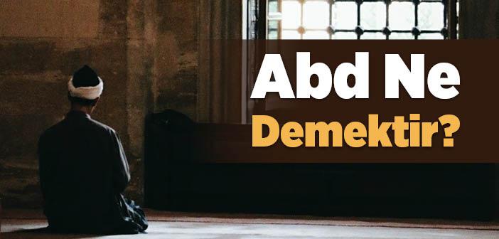 Abd Ne Demek?