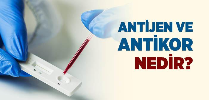 Antijen ve Antikor Nedir?