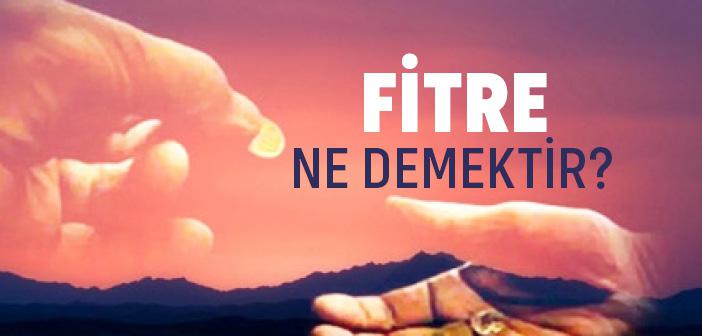 Fitre Ne Demek?