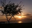 İftar Vakti İle İlgili Hadis