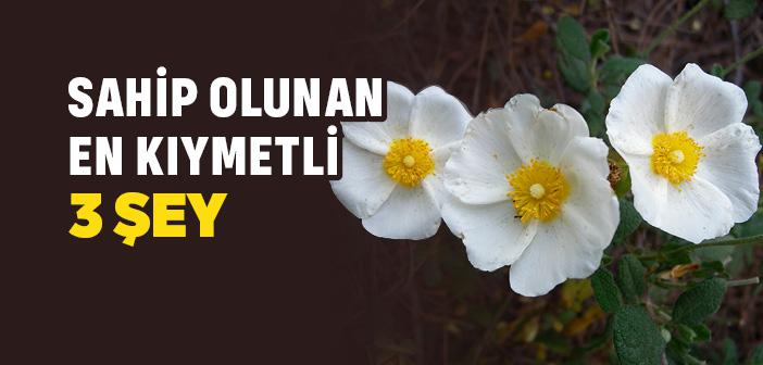 Saliha Hanımın Kıymeti ve Fazileti