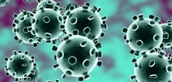Yeni Koronavirüs (SARS-CoV-2) Nedir?