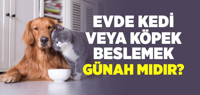 Evde Köpek veya Kedi Beslemek Günah mı?