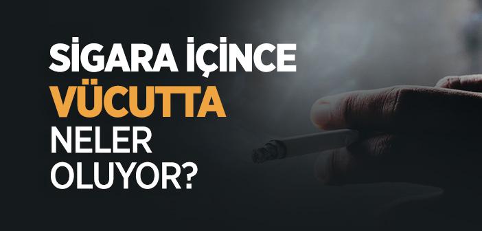 Sigara İçince Vücutta Neler Oluyor?