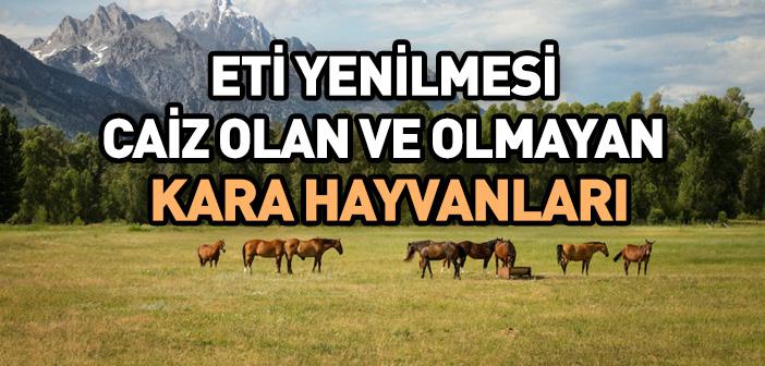 Eti Yenilmesi Caiz Olan ve Olmayan Kara Hayvanları